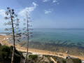 Trees and Beach, Scala dei Turchi, Sicily
